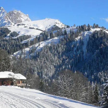 Apartment Le Bristol A52 By Interhome *