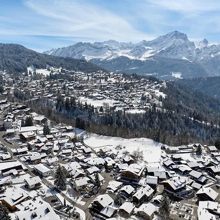 Le Bristol A52 By Interhome Villars-sur-Ollon