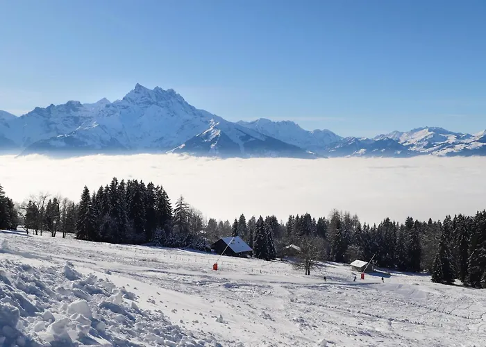 Le Bristol A52 By Interhome Appartamento *