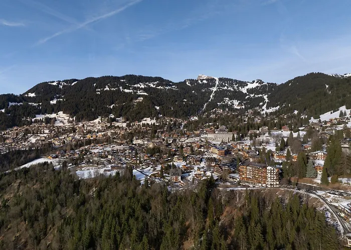 Le Bristol A52 By Interhome * Villars-sur-Ollon