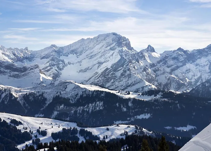 Le Bristol A52 By Interhome Appartamento