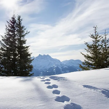 Le Bristol A52 By Interhome Villars-sur-Ollon