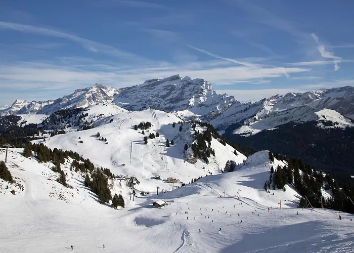 Apartment Le Bristol A52 By Interhome Villars-sur-Ollon