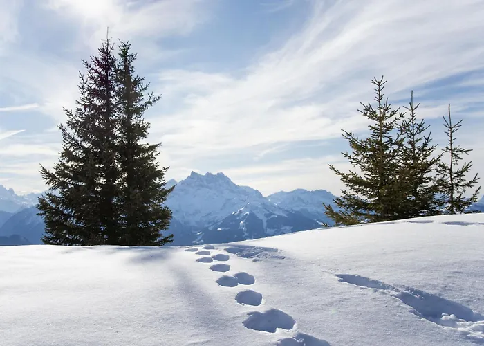 Le Bristol A52 By Interhome Villars-sur-Ollon